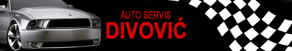 Automehanicari DIVOVIĆ Logo