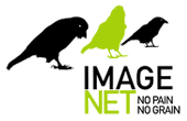 IMAGE NET