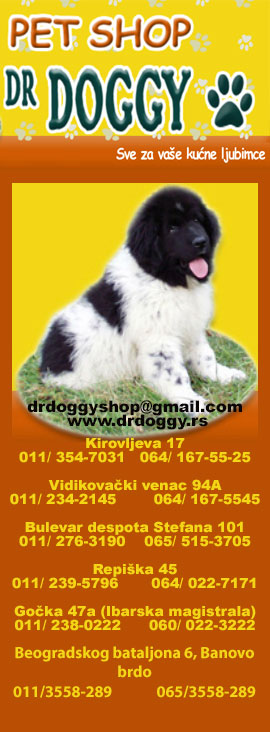 Dr Doggy shop-Beograd ko i gde