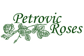 PETROVIC logo